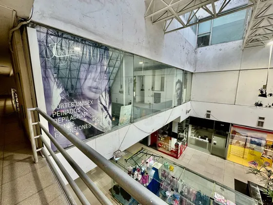 Alquiler Local Galeria De La Flor Microcentro