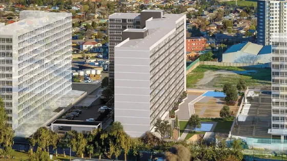 Pintor Cicarelli Ii - Maestra