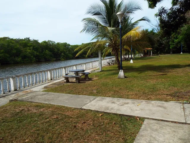Rio Chico Paparo 25-23558