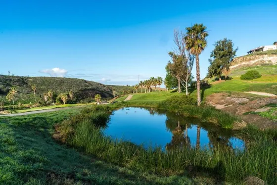 Terreno En Venta En Palma Real