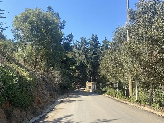 Altavista