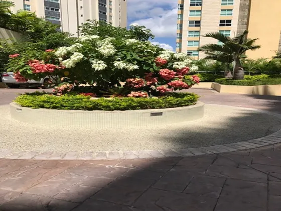 Mesetas De Santa Rosa De Lima Alquilo Apto Amoblado 