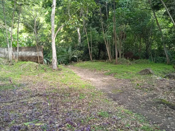 Lj. Venta Terreno Urb. Palmarito - Maracay Aragua 