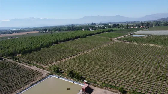 Agrícola En Venta En San Felipe