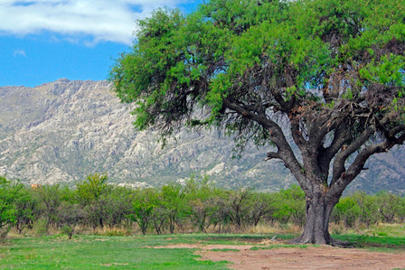 Espectacular Terrenos En Venta En Zorzales Del Dique, Cortaderas Cerca De Merlo San Luis Espectacular Terrenos En Venta En Zorzales Del Dique, Cortaderas Cerca De Merlo San Luis
