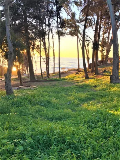Sitio En Venta En Zapallar