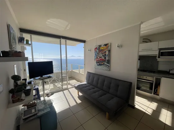 Arriendo Departamento Av Del Mar Primera Linea 2d-2b