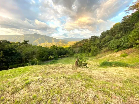 Lote En Venta En Vía Hacia Bolombolo. Cod V11341