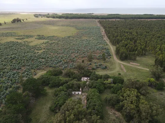 Campo En Necochea