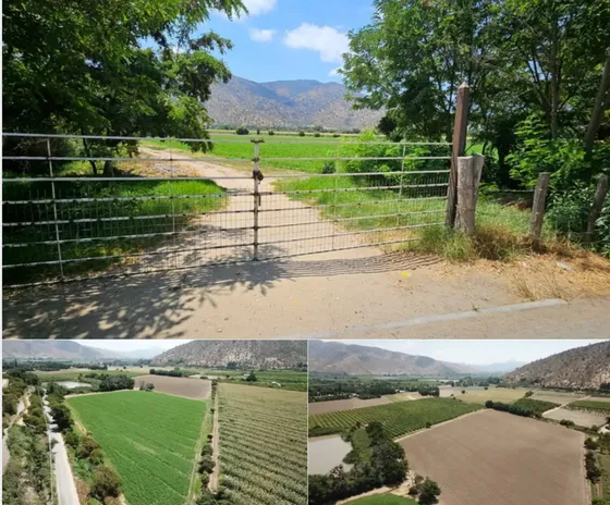 Terreno Construccion En Venta En María Pinto