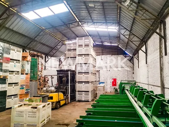 Industrial Con Camara De Frio En Arriendo En Recoleta