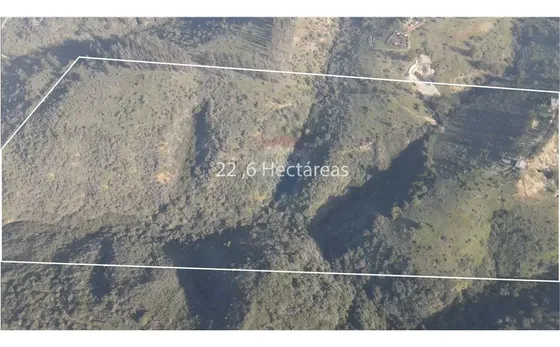 Terreno 22.6ha Forestal En Lo Abarca, San Antonio