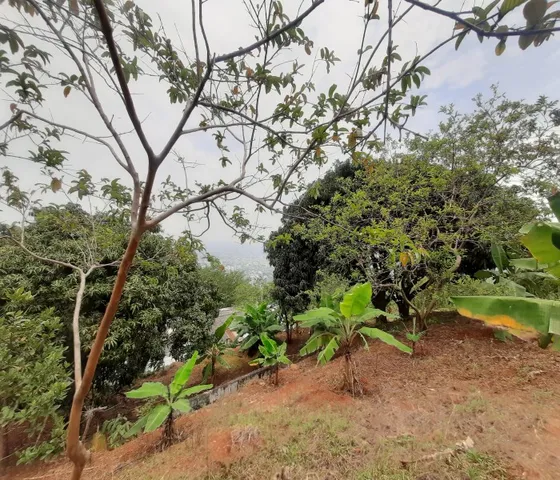 Vendo Casa Con Gran Proyección Residencial Y/o Comercial