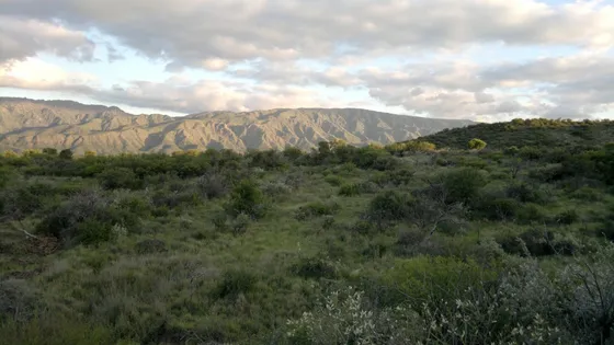 Hectareas Con Escritura En San Francisco Del Monte De Oro