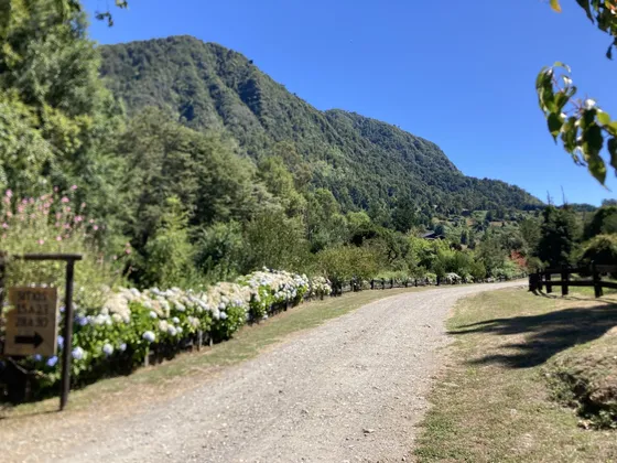  Lago Riñihue / Condominio 