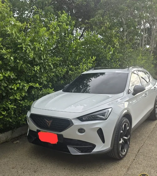 Cupra Formentor 2.0 Tsi Metalizado Dsg