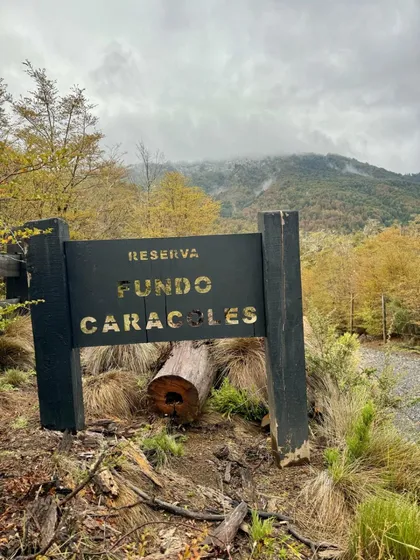 Exclusivos Lotes De 5.000 M2 En Malalcahuello / Corralco