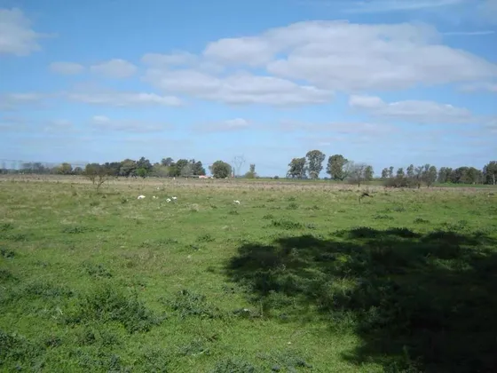 Campo En Gral Rodríguez