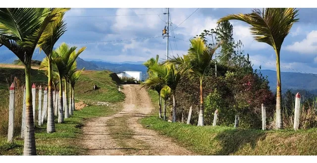 Expectacular Lote Para Construir Tu Hogar Soañdo