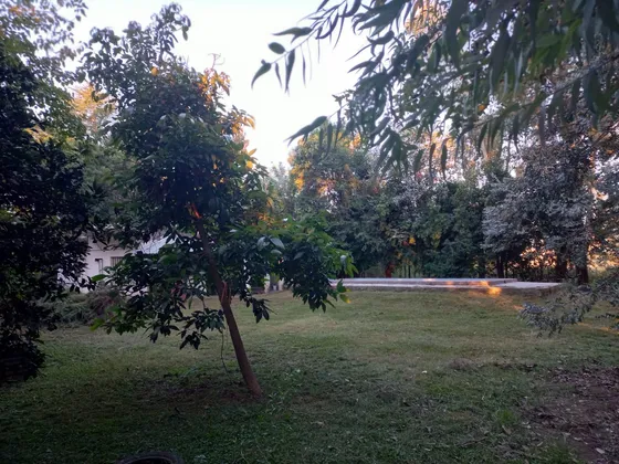 Quinta En Barrio Parque Jularo - Alquiler Permanente