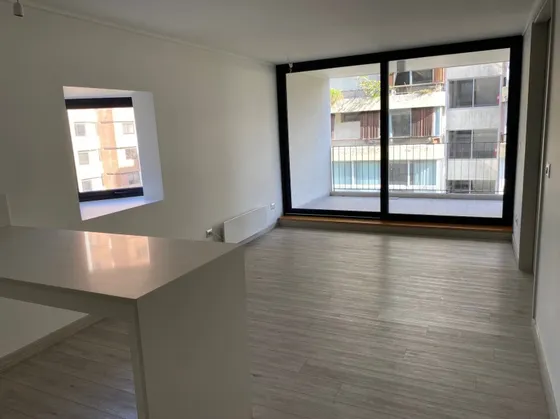 Hermnoso Departamento 1 Dorm - Providencia