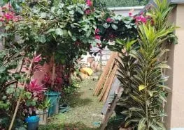 Casa En Venta En Residenciales Monja Blanca 2
