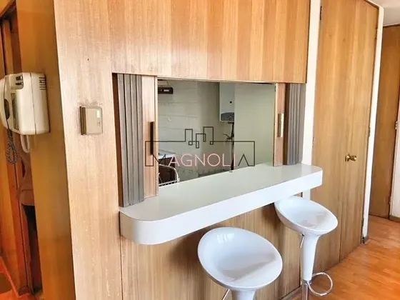 Departamento En Venta En Providencia