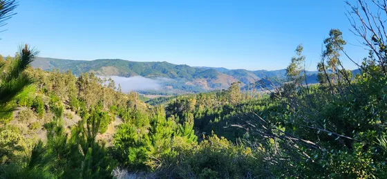 Venta De Parcelas 5000mts2 Cauquenes