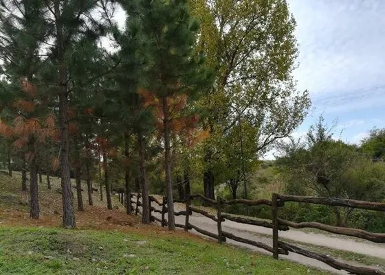 Lote En El Buen Aire - Ascochinga - 7.100 M2