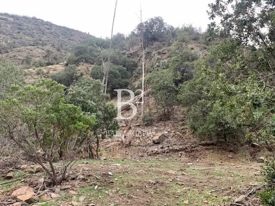 Kilometro 6