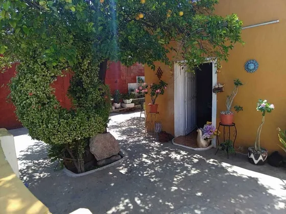 Casa En Venta En Esquina En Col. Bojórquez