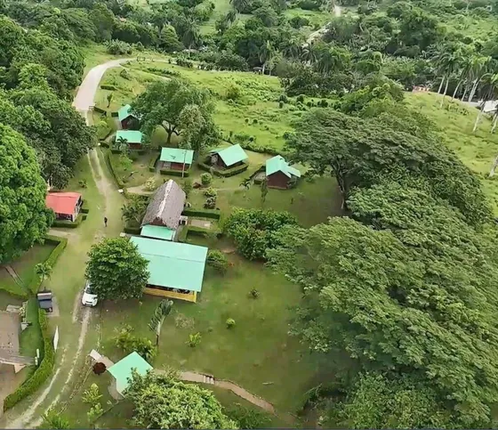Título Deslindado