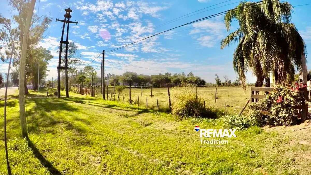 Land Rental – 7 Hectares on National Route in Charata, Chaco