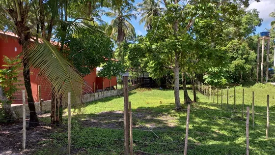 Terreno Morro De São Paulo Bahia 