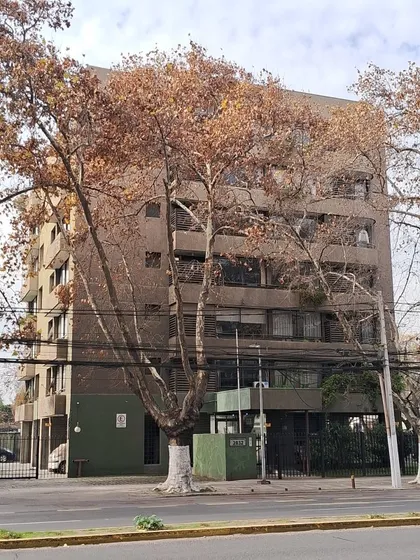 Vendo Excelente Departamento En Macul