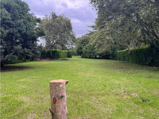 Venta Lote De1610mts2 En La Morada, Jamundí 8784. 