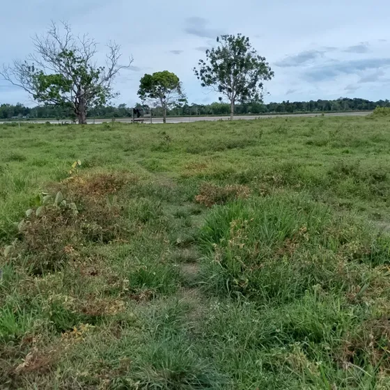 Vendo Hermosa Finca En Curillo Caqueta 