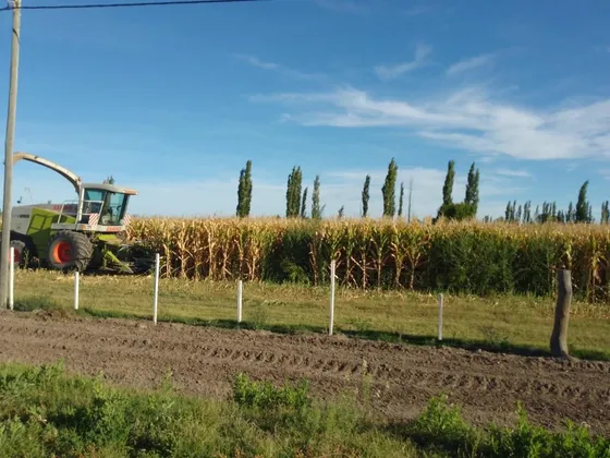 Campo Totalmente Armado Con Viviendas Equipadas - General Alvear-mendoza