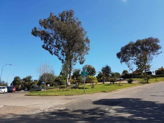  Los Almendros, Reñaca