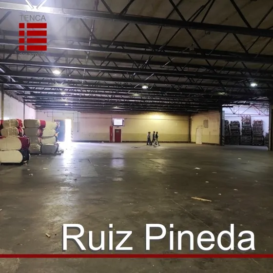 Alquiler- Galpones - Ruiz Pineda