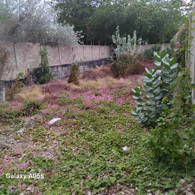 Terreno En Venta