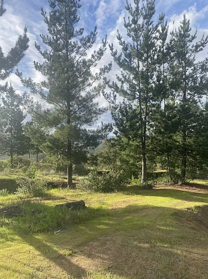 Terreno 