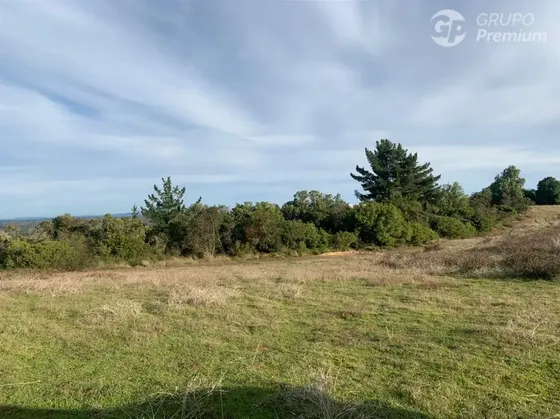 Parcela En Venta En Litueche