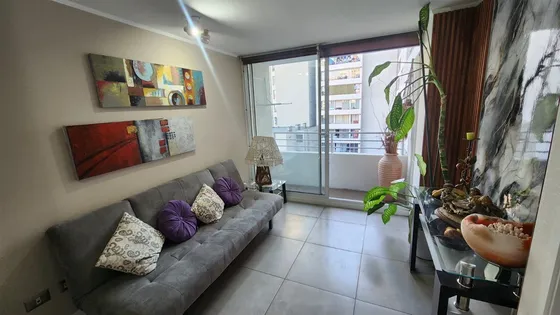Departamento En Venta De 1 Dorm. En Santiago