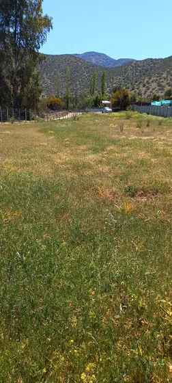 Gran Propiedad En Arboleada Grande, Salamanca / 14.430mts2