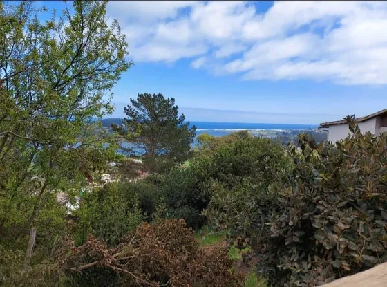 Sitio En Venta En Pichilemu