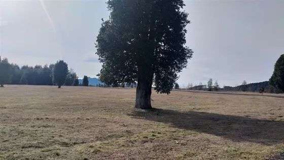 Sitio En Venta En Pucón