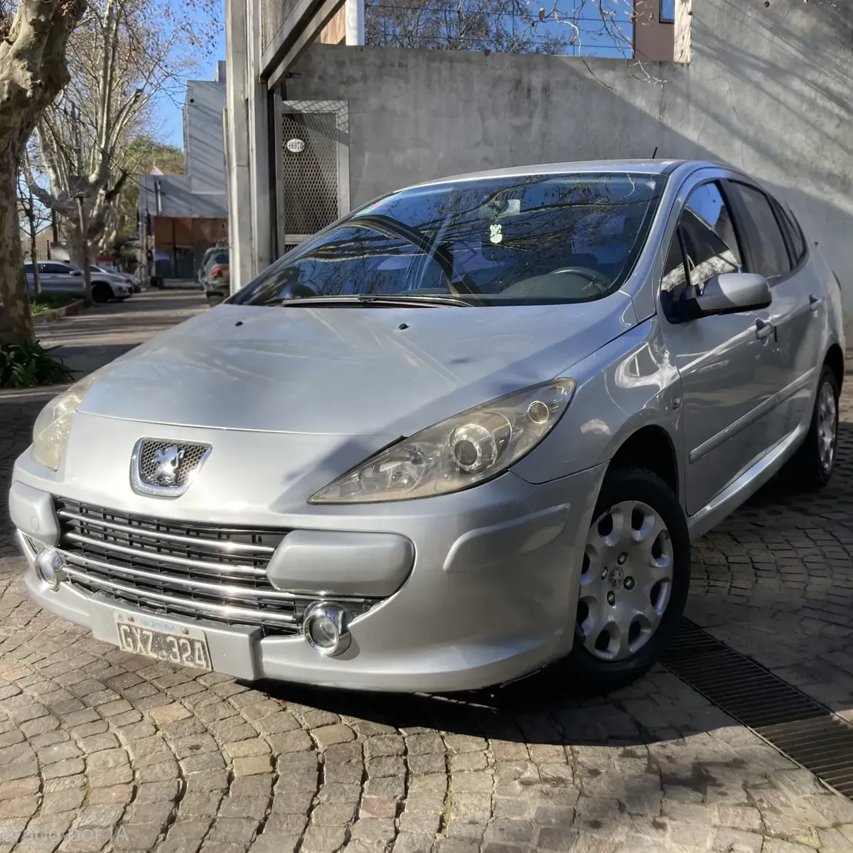 Peugeot 307 1.6 XS 110 hp