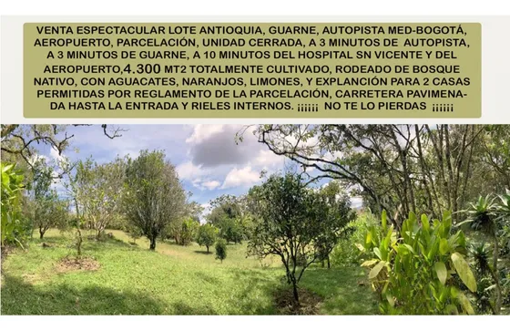 Venta Lote Antioquia Guarne Túnel Autopista Aeropuerto Parcelación 