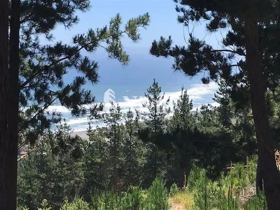 Sitio En Venta En Vichuquén